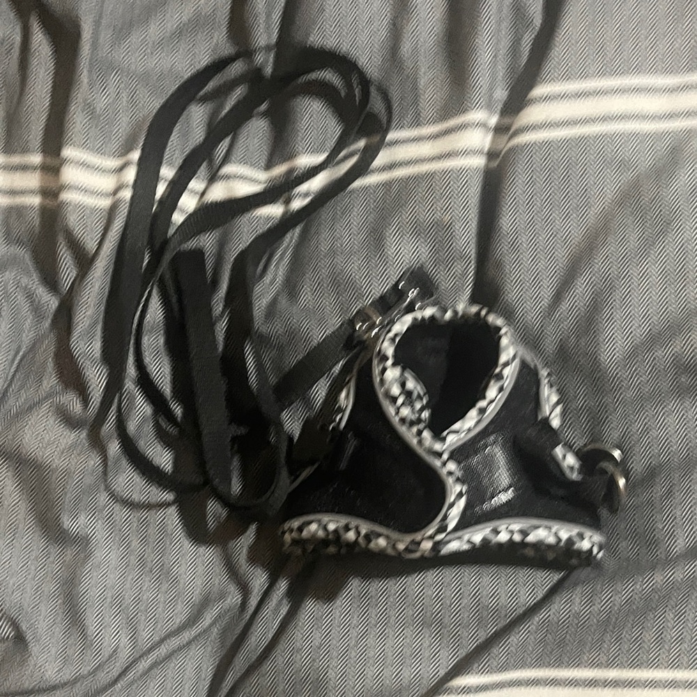 Chic Black and White Cat Harness and Leash Set